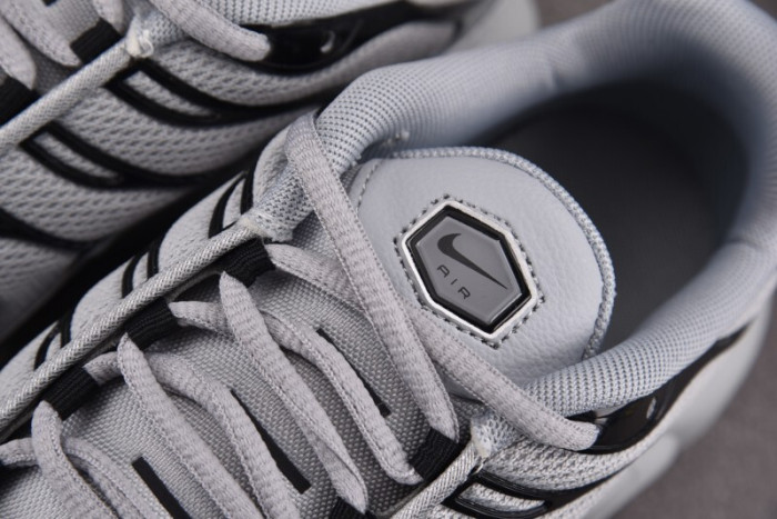 Nike Air Max Plus TN 