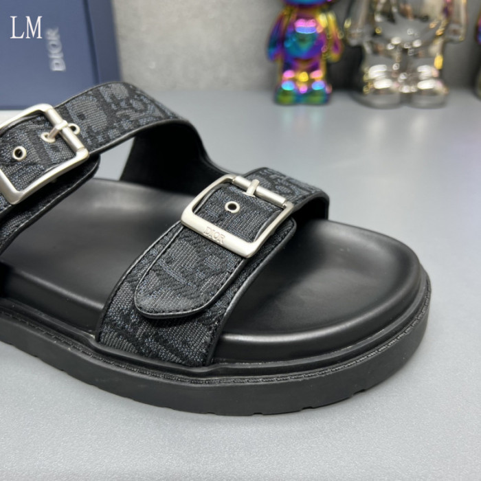 D*or slides d0316