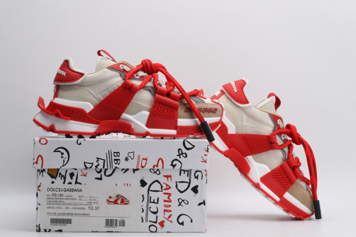 d&g sneakaer d015