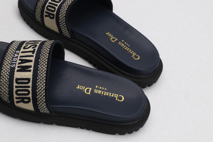 D*or slides g6578