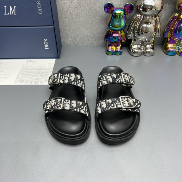 D*or slides d0317