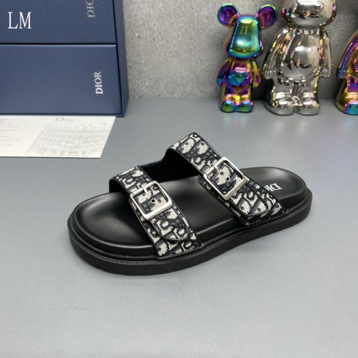 D*or slides d0317