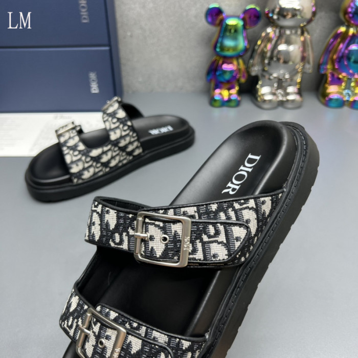 D*or slides d0317
