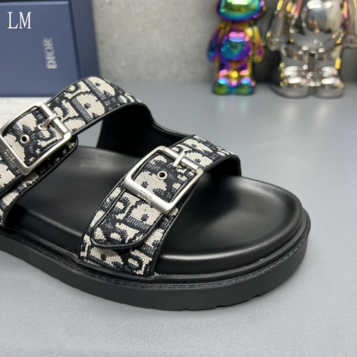 D*or slides d0317