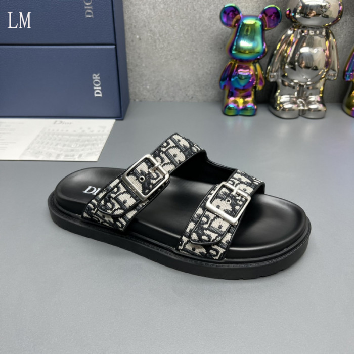 D*or slides d0317