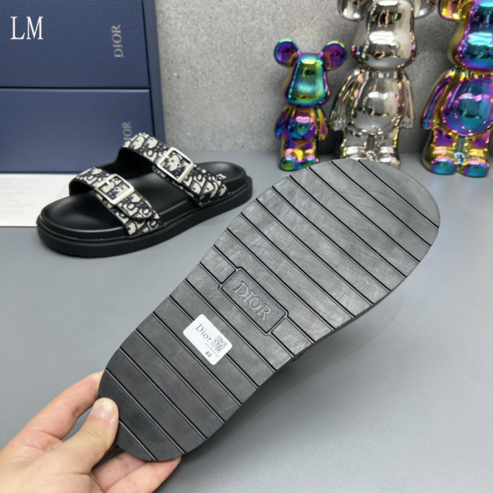 D*or slides d0317