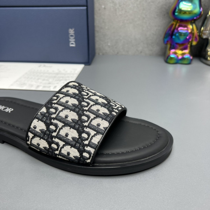 D*or slides d0307