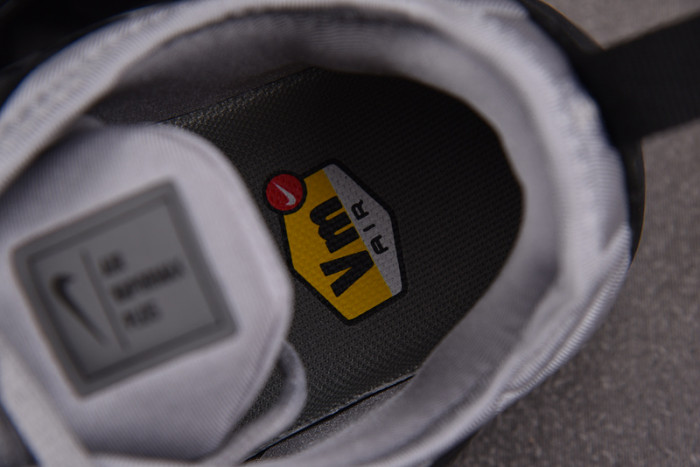 Nike Air VaporMax Plus Cool Grey | CK0900-001