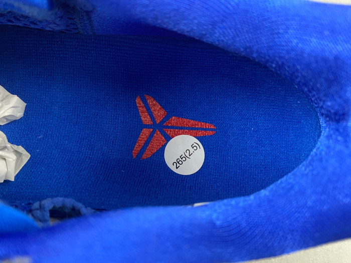 NIKE Kobe 6 Protro "Dodgers" CW2190-400