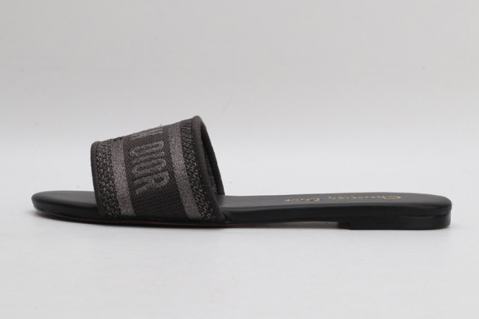 D*or slides g6573