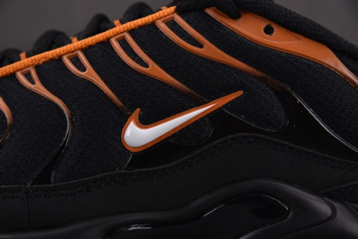 Nike Air Max Plus Dark Obsidian Monarch FN6949-400