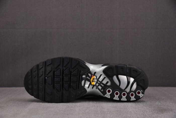 Nike Air Max Plus Black Reflective HQ3029-001