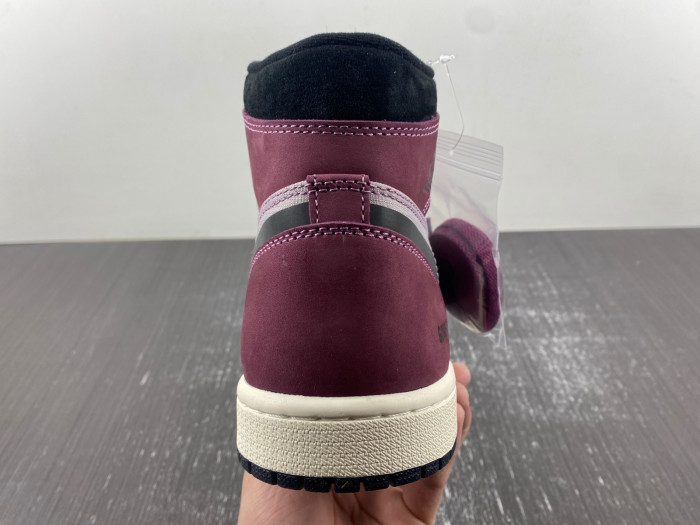 air jordan 1 high element gore-tex