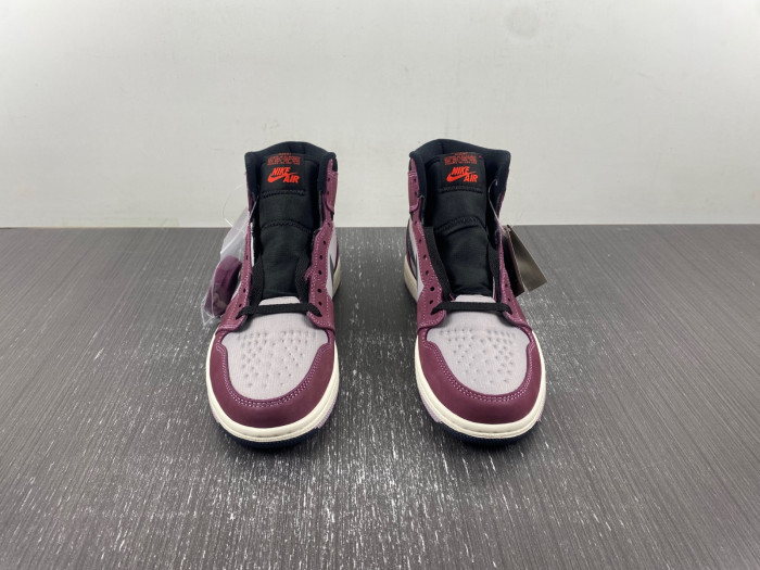 air jordan 1 high element gore-tex