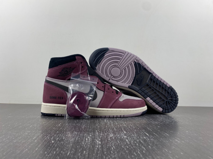 air jordan 1 high element gore-tex