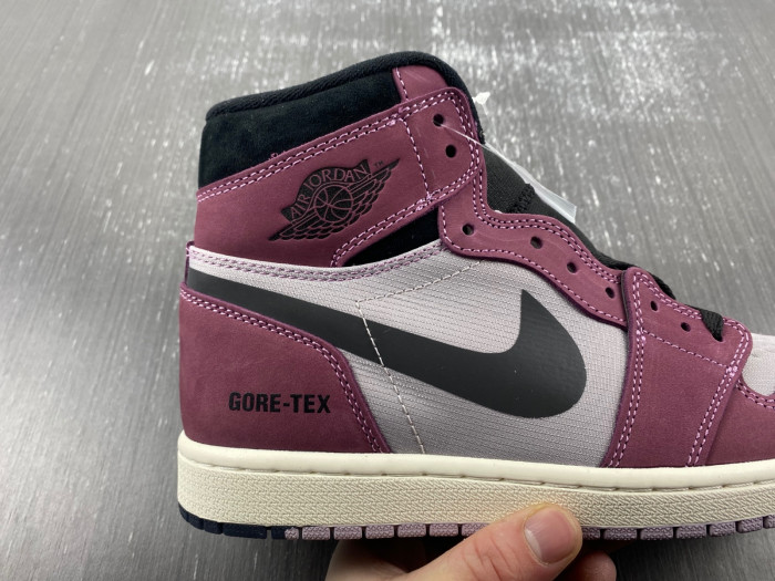 air jordan 1 high element gore-tex