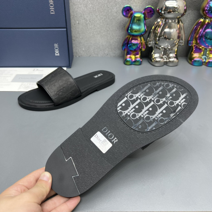 D*or slides d0309