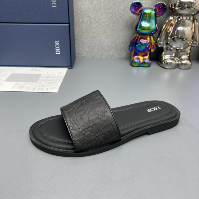 D*or slides d0309