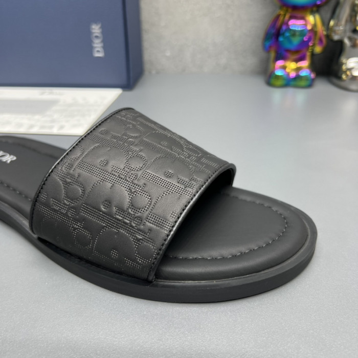 D*or slides d0309