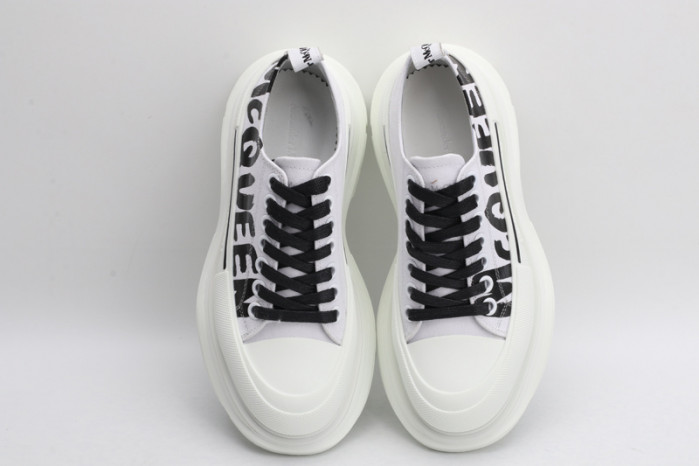 alexander mcqueen e2621