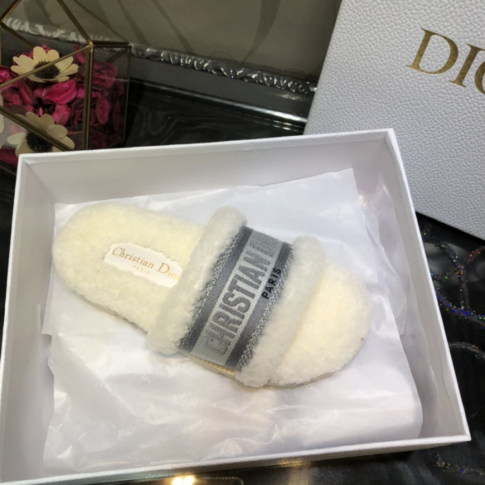 D*or slides d0219