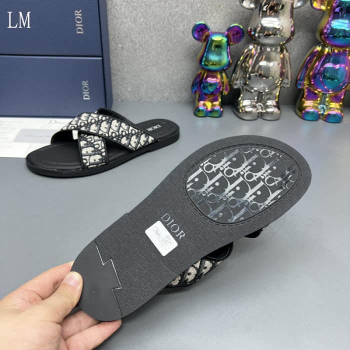 D*or slides d0310