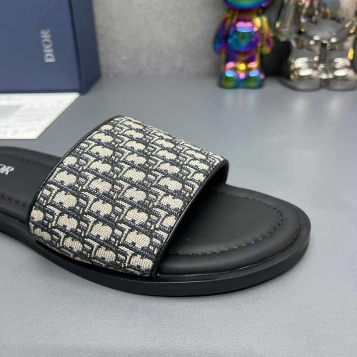 D*or slides d0305