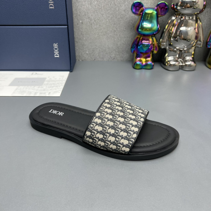 D*or slides d0305