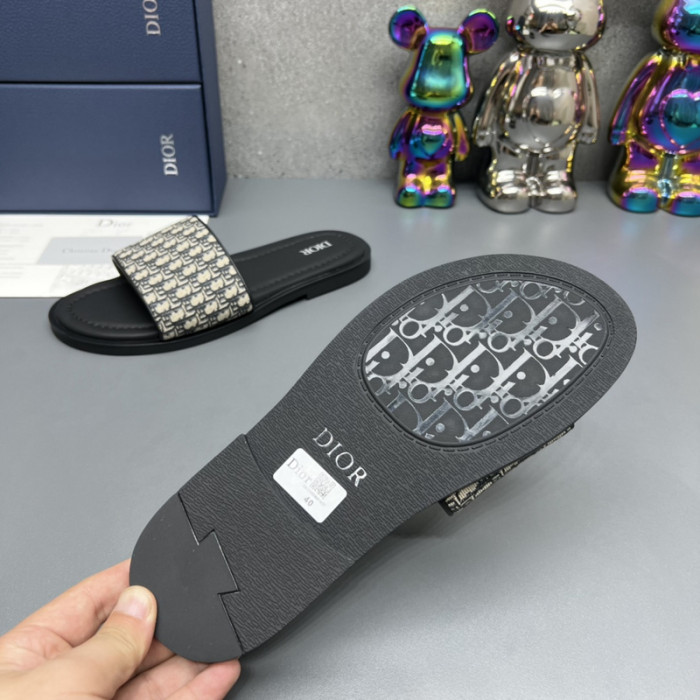D*or slides d0305